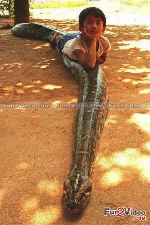 riding-the-snake-amazing.jpg