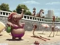 Miisschemsy à la plage.jpeg