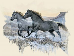 snowy-racers-horses-f2-3443-1024x768.jpg