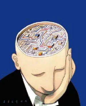 cerveau_8.jpg