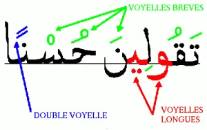 emplacement des voyelles sur les mots.gif