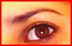 sourcil555 (2).JPG